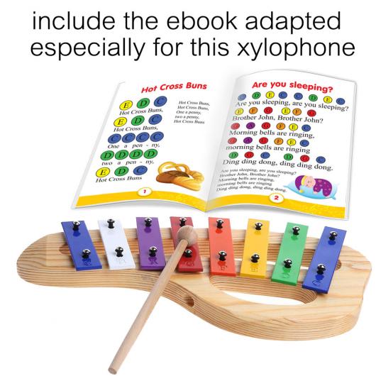 Buy Kids Color 8 note Xylophone oval Base | inTemenos